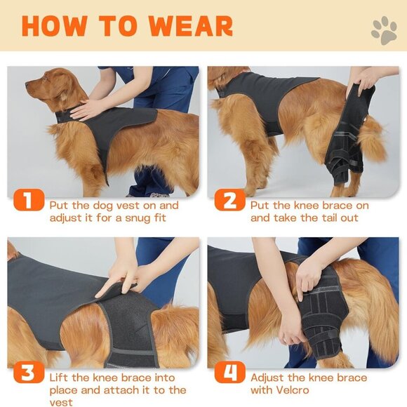 Dog Knee Brace for Hind Legs - Picture 7 of 7